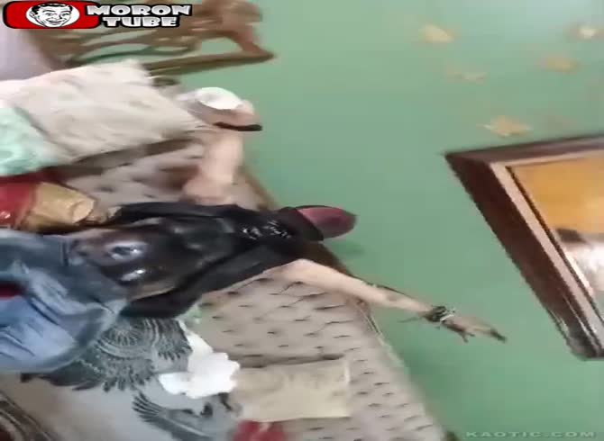 Video :Is this joke getting out of hand